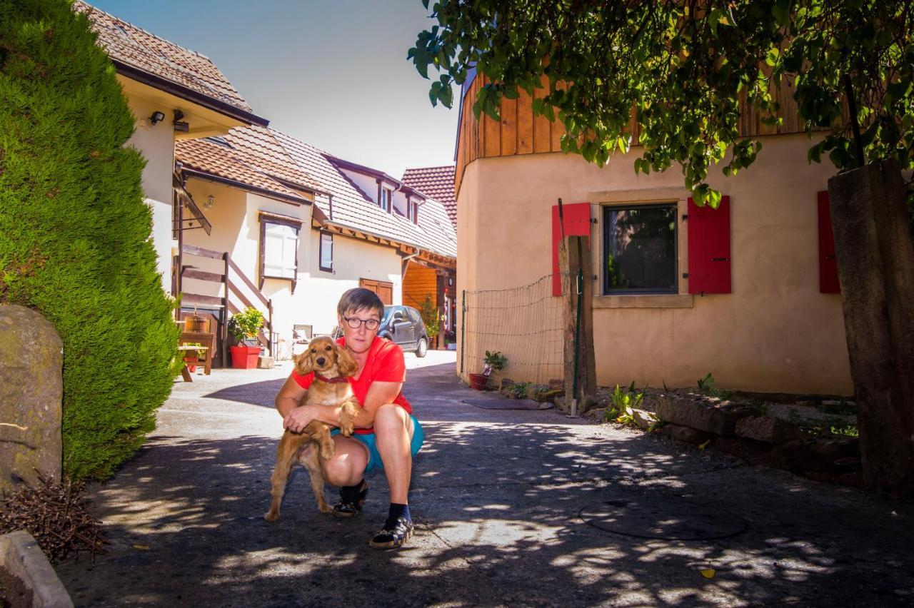 Au Murier Goxwiller Buitenkant foto
